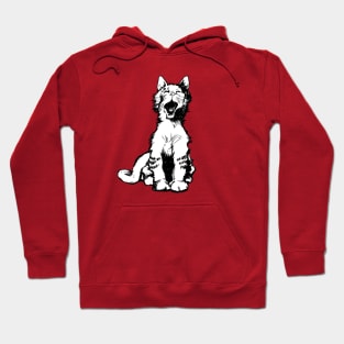 Yawning Cat on Red Hoodie